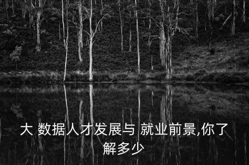 大規(guī)模數(shù)據(jù)存儲 就業(yè)