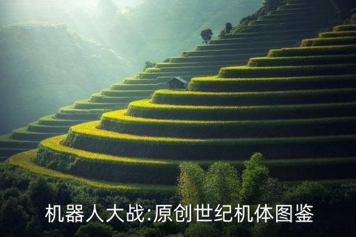  機器人大戰(zhàn):原創(chuàng)世紀機體圖鑒