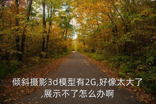 傾斜攝影3d模型有2G,好像太大了,展示不了怎么辦啊