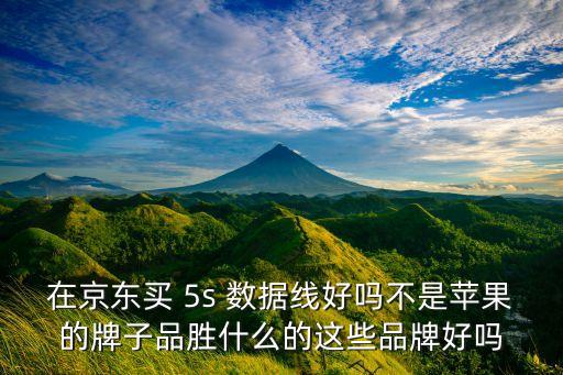 5s數(shù)據(jù)線哪個(gè)牌子好,花生油一級(jí)和5s哪個(gè)牌子好