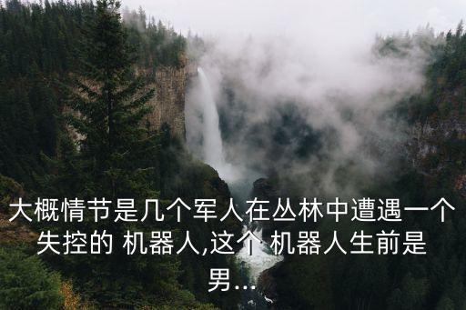 大概情節(jié)是幾個軍人在叢林中遭遇一個失控的 機(jī)器人,這個 機(jī)器人生前是男...