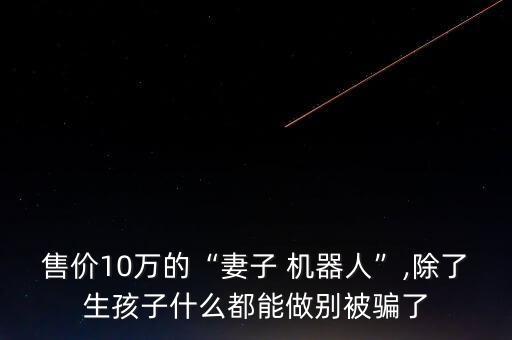 售價10萬的“妻子 機器人”,除了生孩子什么都能做別被騙了