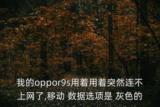 為什么手機(jī)數(shù)據(jù)連接是灰色的,蘋果手機(jī)為什么數(shù)據(jù)連接不上