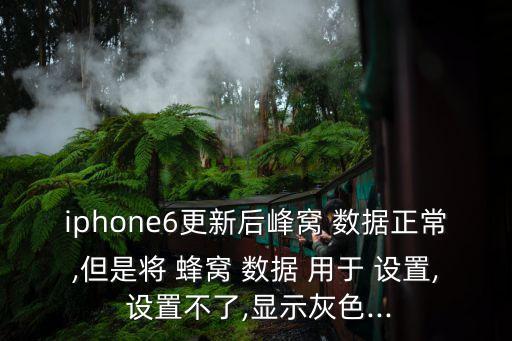 iphone6更新后峰窩 數(shù)據(jù)正常,但是將 蜂窩 數(shù)據(jù) 用于 設(shè)置, 設(shè)置不了,顯示灰色...