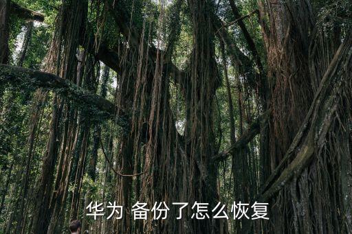 華為p8備份數(shù)據(jù)如何找回,華為備份數(shù)據(jù)刪除了還能不能找回