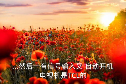 ...然后一有信號(hào)輸入又 自動(dòng)開機(jī)電視機(jī)是TCL的