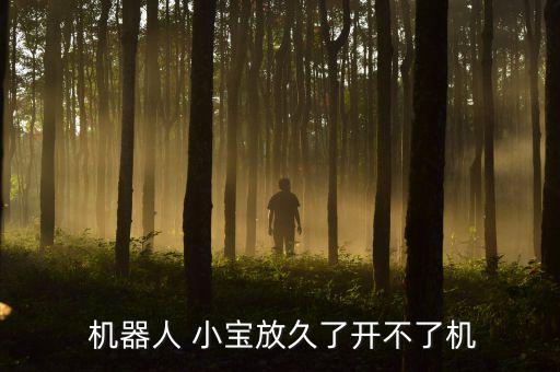  機(jī)器人 小寶放久了開不了機(jī)