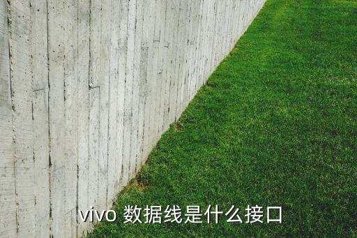  vivo 數(shù)據(jù)線是什么接口