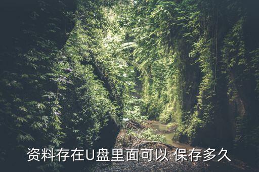 資料存在U盤里面可以 保存多久