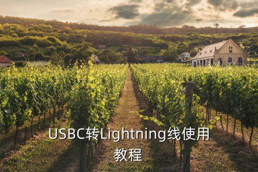USBC轉(zhuǎn)Lightning線使用教程