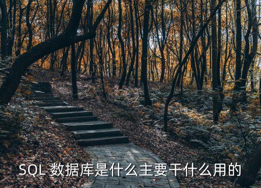 SQL 數(shù)據(jù)庫是什么主要干什么用的