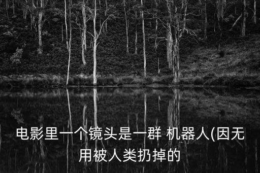 電影里一個(gè)鏡頭是一群 機(jī)器人(因無(wú)用被人類扔掉的