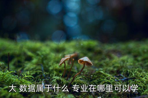 大 數(shù)據(jù)屬于什么 專業(yè)在哪里可以學(xué)