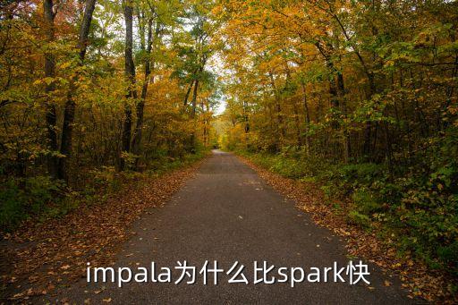 impala為什么比spark快