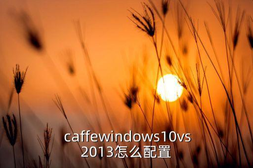  caffewindows10vs2013怎么配置