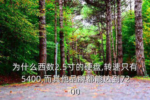 為什么西數(shù)2.5寸的硬盤,轉(zhuǎn)速只有 5400,而其他品牌都能達到7200