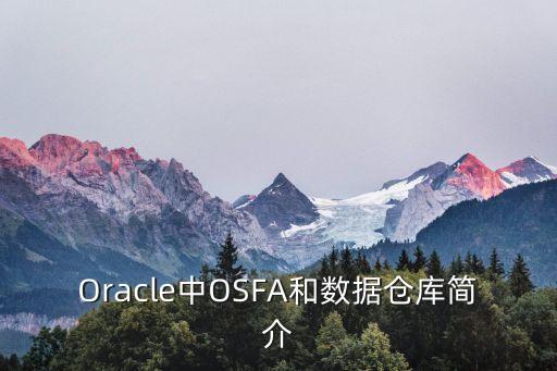 oracle數(shù)據(jù)庫(kù)技術(shù)方案