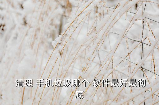  清理 手機(jī)垃圾哪個(gè) 軟件最好最徹底