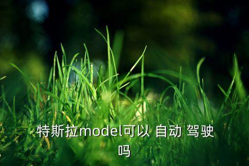 國內(nèi) 特斯拉 自動駕駛,國內(nèi)特斯拉自動駕駛是什么狀態(tài)