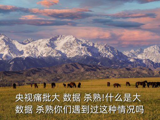 怎么看待大數(shù)據(jù)殺熟,如何看待大數(shù)據(jù)殺熟即興評述