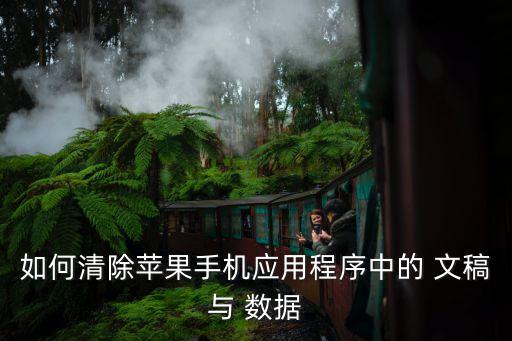 如何清除蘋果手機(jī)應(yīng)用程序中的 文稿與 數(shù)據(jù)