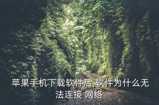  蘋果手機(jī)下載軟件后,軟件為什么無法連接 網(wǎng)絡(luò)