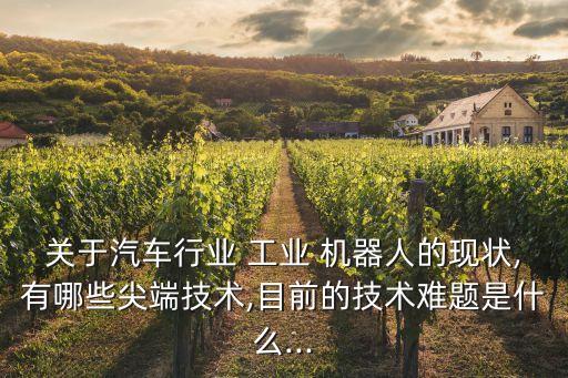 關于汽車行業(yè) 工業(yè) 機器人的現狀,有哪些尖端技術,目前的技術難題是什么...