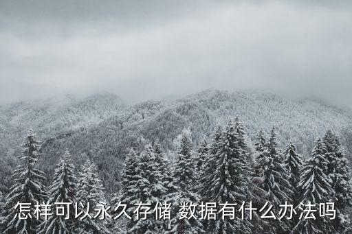 怎樣可以永久存儲(chǔ) 數(shù)據(jù)有什么辦法嗎