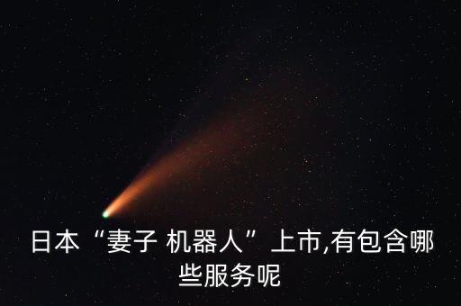 日本“妻子 機器人”上市,有包含哪些服務呢