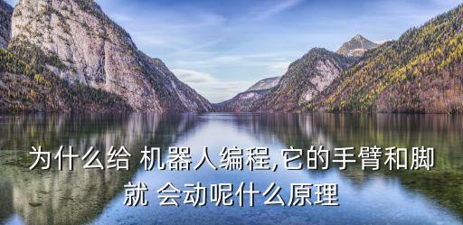 機(jī)器人會(huì)什么會(huì)動(dòng),美女機(jī)器人都有什么功能