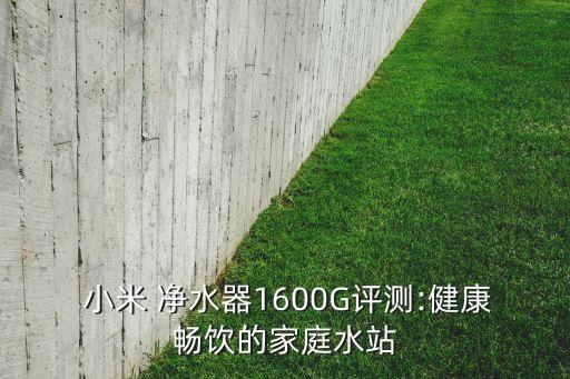  小米 凈水器1600G評測:健康暢飲的家庭水站