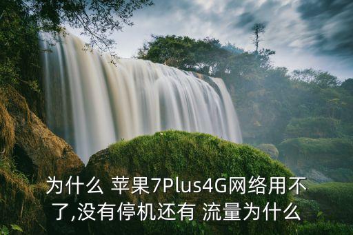 蘋果7plus數(shù)據(jù)流量開關(guān)在哪