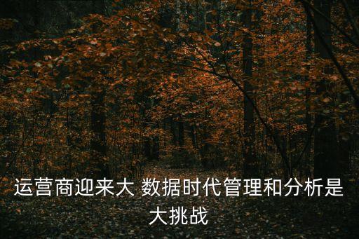 運營商迎來大 數(shù)據(jù)時代管理和分析是大挑戰(zhàn)