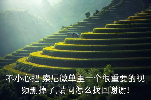 不小心把 索尼微單里一個(gè)很重要的視頻刪掉了,請問怎么找回謝謝!