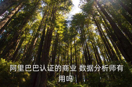阿里云大數(shù)據(jù)怎么用,大學(xué)生阿里云大數(shù)據(jù)實(shí)訓(xùn)免費(fèi)的么