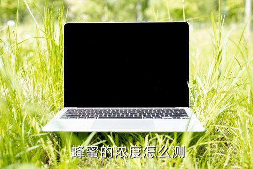 蜂蜜數(shù)據(jù),蜂窩數(shù)據(jù)漫游