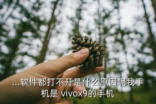 ...軟件都打不開(kāi)是什么原因呢我手機(jī)是 vivox9的手機(jī)