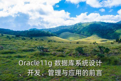 Oracle11g 數(shù)據(jù)庫(kù)系統(tǒng)設(shè)計(jì)、 開(kāi)發(fā)、管理與應(yīng)用的前言