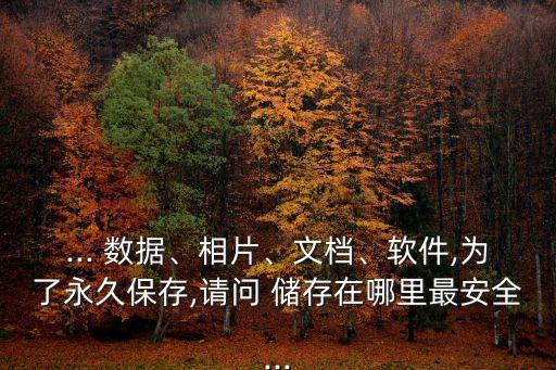 ... 數(shù)據(jù)、相片、文檔、軟件,為了永久保存,請問 儲(chǔ)存在哪里最安全...