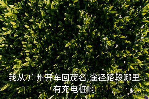 我從 廣州開車回茂名,途徑路段哪里有充電樁啊