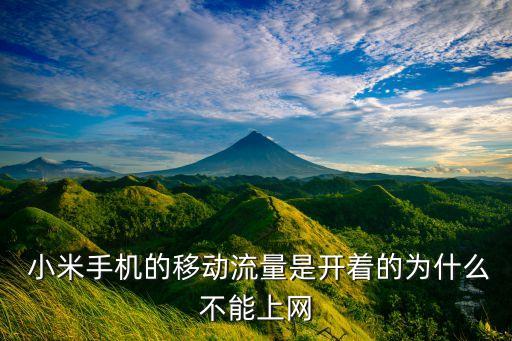  小米手機(jī)的移動(dòng)流量是開著的為什么不能上網(wǎng)