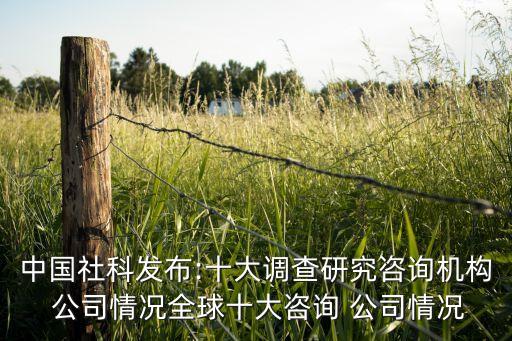 中國(guó)社科發(fā)布:十大調(diào)查研究咨詢機(jī)構(gòu) 公司情況全球十大咨詢 公司情況