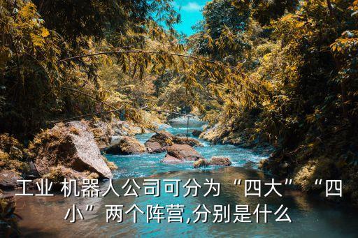 工業(yè) 機(jī)器人公司可分為“四大”“四小”兩個(gè)陣營,分別是什么
