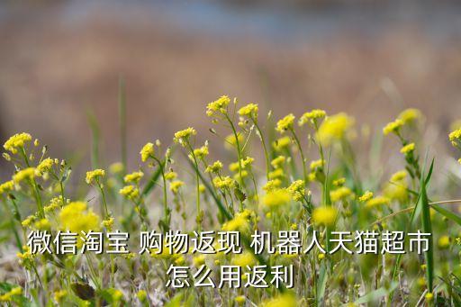 微信淘寶 購物返現(xiàn) 機器人天貓超市怎么用返利