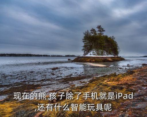泰州熊孩子機(jī)器人教育,機(jī)器人教育對(duì)孩子未來(lái)發(fā)展的影響
