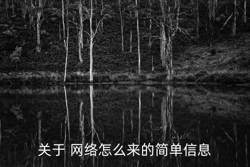 關(guān)于 網(wǎng)絡(luò)怎么來的簡(jiǎn)單信息