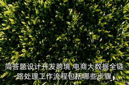 簡答題設計開發(fā)跨境 電商大數(shù)據(jù)全鏈路處理工作流程包括哪些步驟