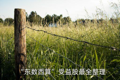 “東數(shù)西算”受益股最全整理