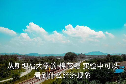 從斯坦福大學(xué)的 棉花糖 實(shí)驗(yàn)中可以看到什么經(jīng)濟(jì)現(xiàn)象