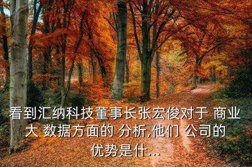 大數(shù)據(jù)公司商業(yè)分析